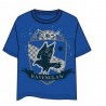 CAMISETA HARRY POTTER RAVENCLAW XXL CAMISETAS CINE HARRY POTTER