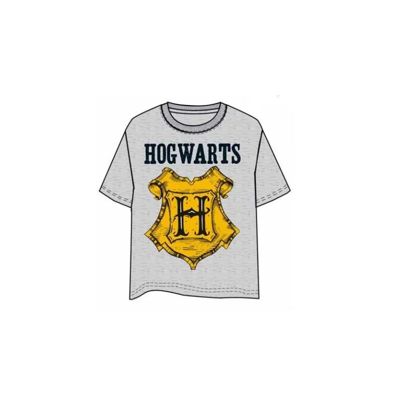 HARRY POTTER HOGWARTS T-SHIRT GRIJS XXL, FILM-T-SHIRT HARRY POTTER - The Shop Gamer