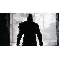 GOD OF WAR PS4 VIDEOJUEGO FÍSICO PARA SONY PLAYSTATION 4 DE SANTA MONICA STUDIO