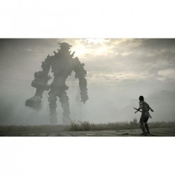 SHADOW OF THE COLOSSUS PS4 VIDEOJUEGO FÍSICO PARA PLAYSTATION 4
