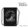 SACO JUEGO DE TRONOS STARK 45X35 MERCHANDISING CINE Y TV JUEGO DE TRONOS