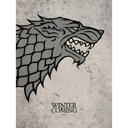 CANVASDOEK GAME OF THRONES STARK 30 X 40, GAME OF THRONES TV-MERCHANDISE - The Shop Gamer