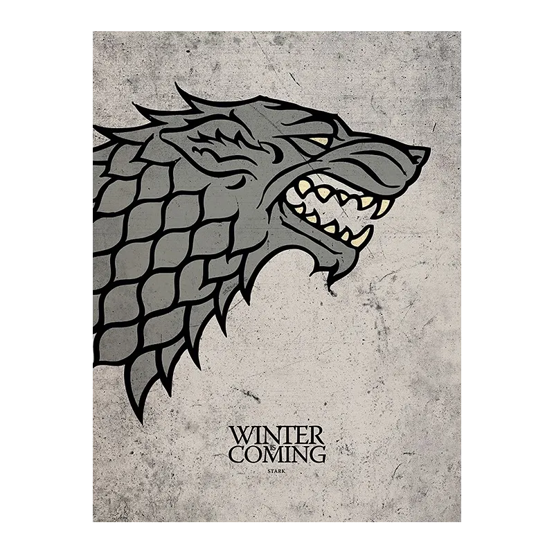 TABLEAU CANVAS JUEGO DE TRONOS STARK 30 X 40, PRODUIT DÉRIVÉ TV JUEGO DE TRONOS - The Shop Gamer