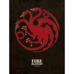 TABLEAU SUR TOILE JUEGO DE TRONOS TARGARYEN 30 X 40, PRODUIT DÉRIVÉ TV JUEGO DE TRONOS - The Shop Gamer