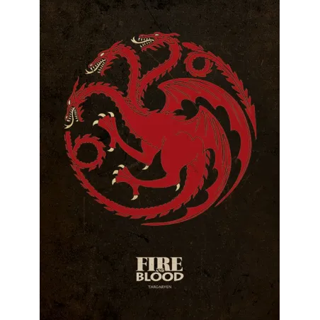 TABLEAU SUR TOILE JUEGO DE TRONOS TARGARYEN 30 X 40, PRODUIT DÉRIVÉ TV JUEGO DE TRONOS - The Shop Gamer