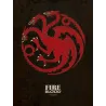 TABLEAU SUR TOILE JUEGO DE TRONOS TARGARYEN 30 X 40, PRODUIT DÉRIVÉ TV JUEGO DE TRONOS - The Shop Gamer