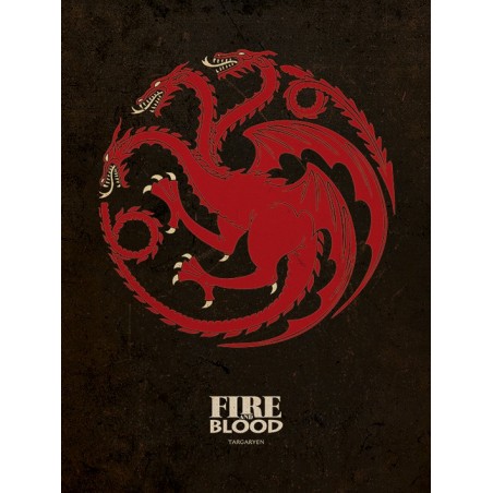 CUADRO CANVAS JUEGO DE TRONOS TARGARYEN 30 X 40 MERCHANDISING TV JUEGO DE TRONOS