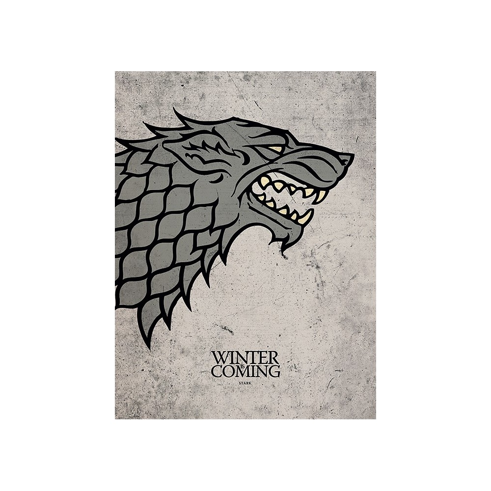 CUADRO CANVAS JUEGO DE TRONOS STARK 30 X 40 MERCHANDISING TV JUEGO DE TRONOS
