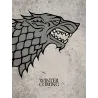 TABLEAU CANVAS JUEGO DE TRONOS STARK 30 X 40, PRODUIT DÉRIVÉ TV JUEGO DE TRONOS - The Shop Gamer