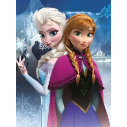 TABLEAU SUR TOILE DISNEY FROZEN 30 X 40, MERCHANDISING CINÉMA ET TV DISNEY - The Shop Gamer