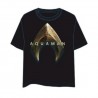 CAMISETA AQUAMAN M CAMISETAS COMICS