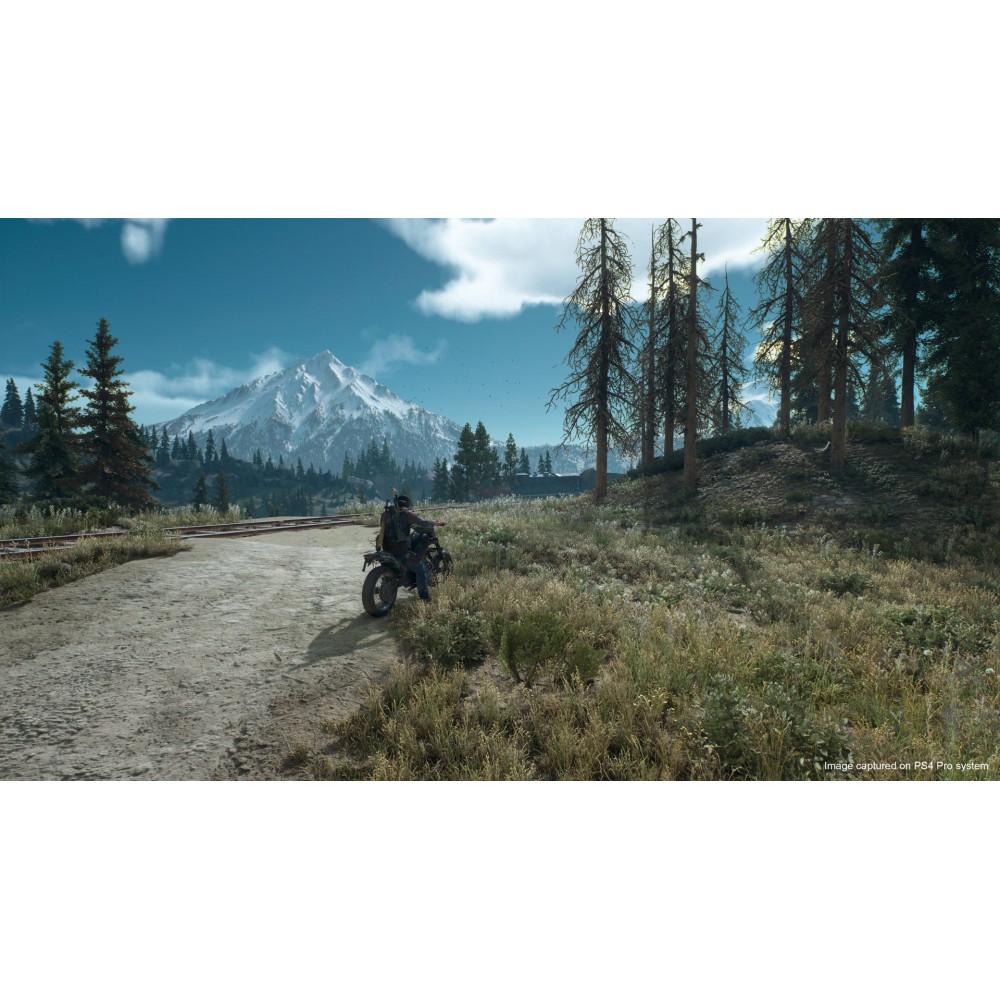 DAYS GONE PS4 EDICIÓN ESPECIAL JUEGO FÍSICO PARA PLAYSTATION 4
