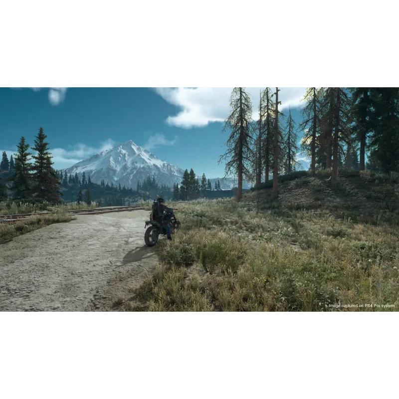 DAYS GONE PS4 SPECIAL EDITION PHYSICAL GAME FOR PLAYSTATION 4 - The Shop Gamer
