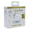 HARRY POTTER EARPODS BLUETOOTH V5.0 COM ESTOJO DE CARREGAMENTO DA OTL TECHNOLOGIES - The Shop Gamer