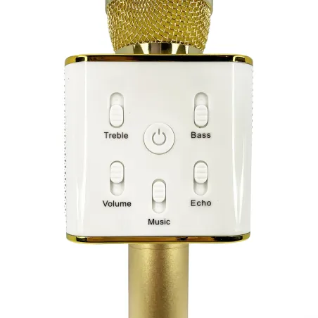 MICROFONE DE KARAOKE RAINBOW HIGH SEM FIOS COM ALTIFALANTE - The Shop Gamer