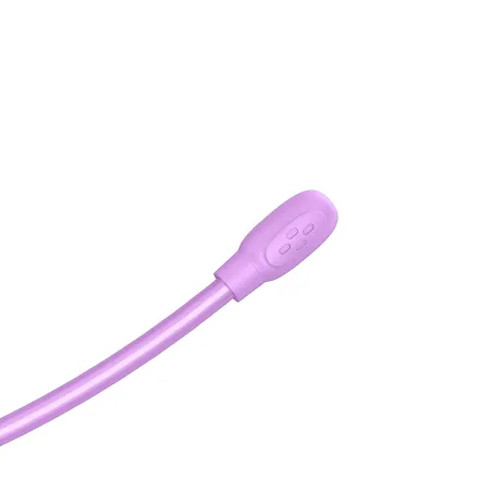 CASQUE AUDIO INTERACTIF POUR ENFANTS AVEC CÂBLE ET MICROPHONE AMOVIBLE RAINBOW HIGH - The Shop Gamer