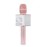 DRAADLOZE HELLO KITTY-KARAOKEMICROFOON MET LUIDSPREKER - The Shop Gamer