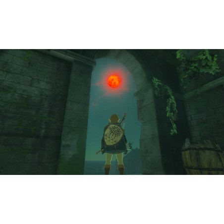 THE LEGEND OF ZELDA TEARS OF THE KINGDOM SWITCH JUEGO FÍSICO NINTENDO SWITCH