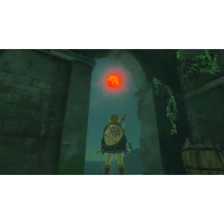 THE LEGEND OF ZELDA TEARS OF THE KINGDOM SWITCH PHYSICAL GAME NINTENDO SWITCH - The Shop Gamer