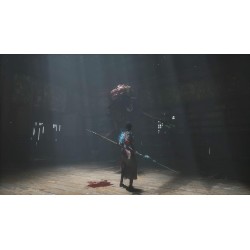 WUCHANG FALLEN FEATHERS DAY 1 EDITION PS5 JUEGO FÍSICO PARA PLAYSTATION 5 VERSIÓN ESPAÑOLA GARANTÍA EUROPEA EU WARRANTY