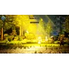 OCTOPATH TRAVELER 0 PS5 PHYSISCHES SPIEL FÜR PLAYSTATION 5, SPANISCHE VERSION, EUROPÄISCHE GARANTIE - The Shop Gamer