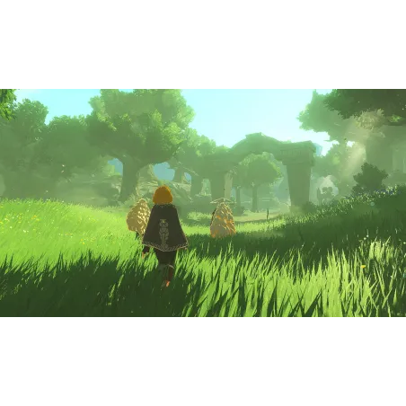 HYRULE WARRIORS LA ERA DEL DESTIERRO SWITCH2, JEU PHYSIQUE POUR NINTENDO SWITCH 2, VERSION ESPAGNOLE, GARANTIE EUROPÉENNE EU - T
