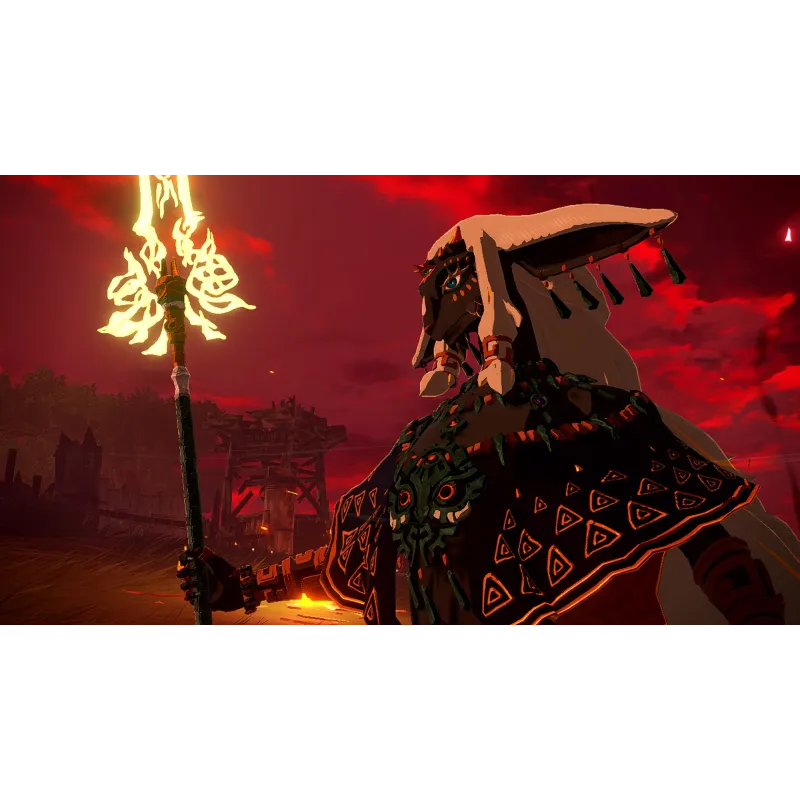 HYRULE WARRIORS LA ERA DEL DESTIERRO SWITCH2 JEU PHYSIQUE POUR NINTENDO SWITCH 2 VERSION ESPAGNOLE GARANTIE EUROPÉENNE UE - The 