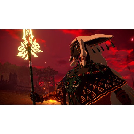 HYRULE WARRIORS LA ERA DEL DESTIERRO SWITCH2 JUEGO FÍSICO PARA NINTENDO SWITCH 2 VERSIÓN ESPAÑOLA GARANTÍA EUROPEA EU