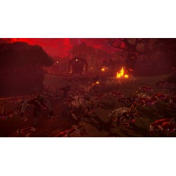 HYRULE WARRIORS LA ERA DEL DESTIERRO SWITCH2 JUEGO FÍSICO PARA NINTENDO SWITCH 2 VERSIÓN ESPAÑOLA GARANTÍA EUROPEA EU