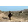 RED DEAD REDEMPTION PS4 JOGO FÍSICO PARA PLAYSTATION 4 VERSÃO ESPANHOLA GARANTIA EUROPEIA GARANTIA EUROPEIA - The Shop Gamer