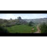KINGDOM COME DELIVERANCE ROYAL EDITION SWITCH PHYSISCHES SPIEL FÜR NINTENDO SWITCH, SPANISCHE VERSION, EUROPÄISCHE GARANTIE - Th