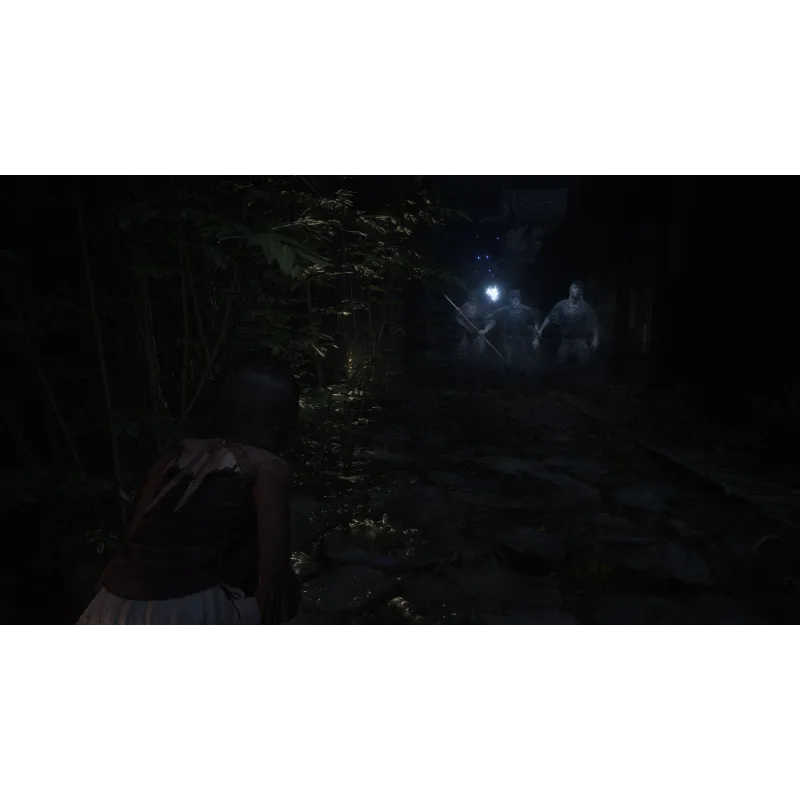FATAL FRAME II CRIMSON BUTTERFLY REMAKE CHOOSE YOUR VERSION PS5 PLAYSTATION 5 NINTENDO SWITCH 2 PHYSICAL GAME SPANISH VERSION - 