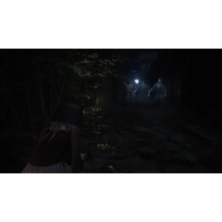 FATAL FRAME II CRIMSON BUTTERFLY REMAKE SCEGLI LA TUA VERSIONE PS5 PLAYSTATION 5 NINTENDO SWITCH 2 GIOCO FISICO VERSIONE - The S