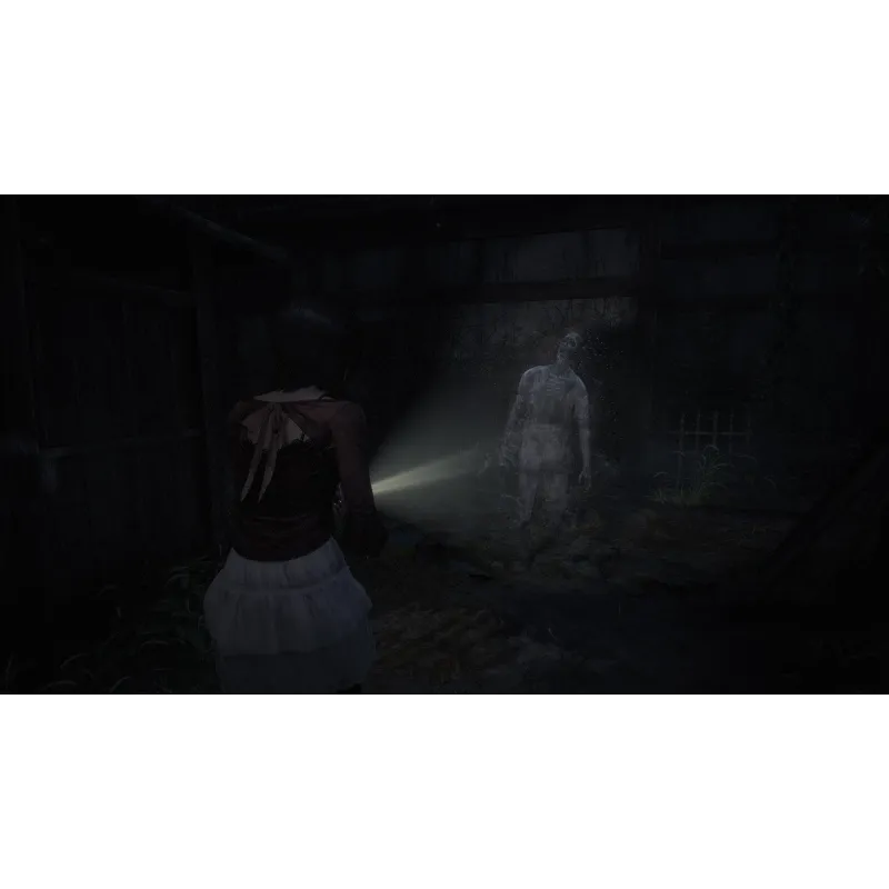 FATAL FRAME II CRIMSON BUTTERFLY REMAKE SCEGLI LA TUA VERSIONE PS5 PLAYSTATION 5 NINTENDO SWITCH 2 GIOCO FISICO VERSIONE - The S