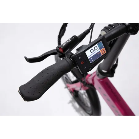 VÉLO ÉLECTRIQUE PLIABLE IBIZA RAINBOW PINK PANTHER LITTIUM ROSE AVEC BATTERIE DE 10,4 AH, ACCESSOIRES, GARANTIE EUROPÉENNE - The
