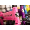 VÉLO ÉLECTRIQUE PLIABLE IBIZA RAINBOW PINK PANTHER LITTIUM, ROSE, AVEC BATTERIE DE 10,4 AH, ACCESSOIRES ET GARANTIE EUROPÉENNE -