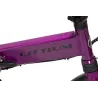 BICICLETTA ELETTRICA PIEGHEVOLE IBIZA RAINBOW DEEP PURPLE LITTIUM COLORE VIOLA CON BATTERIA DA 10,4 AH E ACCESSORI, GARANZIA - T
