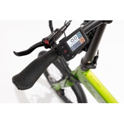 BICICLETA ELÉCTRICA PLEGABLE  IBIZA RAINBOW GREEN PEACE LITTIUM COLOR VERDE CON BATERÍA DE 10,4 AH Y ACCESORIOS GARANTÍA EUROPEA