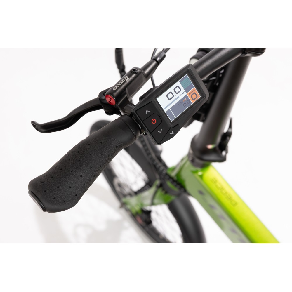 BICICLETA ELÉCTRICA PLEGABLE IBIZA RAINBOW GREEN PEACE LITTIUM COLOR VERDE CON BATERÍA DE 10,4 AH Y ACCESORIOS GARANTÍA EUROPEA