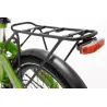 BICICLETTA ELETTRICA PIEGHEVOLE IBIZA RAINBOW GREEN PEACE LITTIUM VERDE CON BATTERIA DA 10,4 AH, ACCESSORI E GARANZIA EUROPEA - 