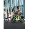 BICICLETA ELÉCTRICA PLEGABLE  IBIZA RAINBOW GREEN PEACE LITTIUM COLOR VERDE CON BATERÍA DE 10,4 AH Y ACCESORIOS GARANTÍA EUROPEA