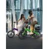 VÉLO ÉLECTRIQUE PLIANT IBIZA RAINBOW GREEN PEACE LITTIUM VERT, BATTERIE 10,4 AH, ACCESSOIRES, GARANTIE EUROPÉENNE - The Shop Gam