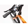 VÉLO ÉLECTRIQUE PLIABLE IBIZA RAINBOW ORANGE JUICE LITTIUM, ORANGE, BATTERIE 10,4 AH, ACCESSOIRES, GARANTIE UE - The Shop Gamer
