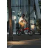 VÉLO ÉLECTRIQUE PLIABLE IBIZA RAINBOW RED CHILI LITTIUM, ROUGE, BATTERIE 10,4 AH, ACCESSOIRES, GARANTIE EUROPÉENNE - The Shop Ga