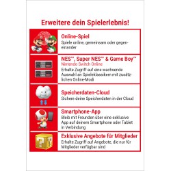 Nintendo Switch Online (Familielidmaatschap - 12 maanden)