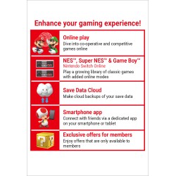 Nintendo Switch Online (Familielidmaatschap - 12 maanden)