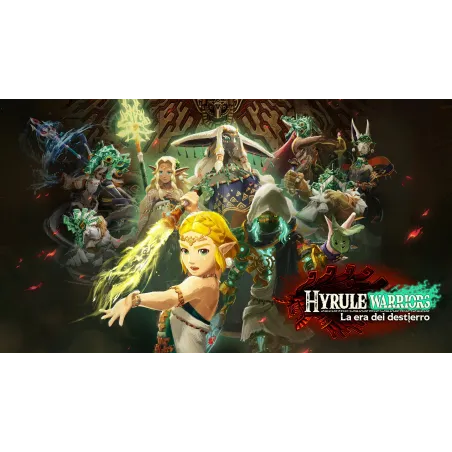 DDC Hyrule Warriors: Age of Imprisonment