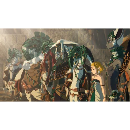DDC Hyrule Warriors: Age of Imprisonment