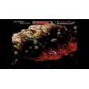 ASSAULT SUIT VALKEN DECLASSIFIED SWITCH GIOCO FISICO PER NINTENDO SWITCH, VERSIONE SPAGNOLA, GARANZIA EUROPEA - The Shop Gamer