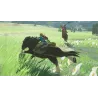 The Legend of Zelda: Breath of the Wild - The Shop Gamer